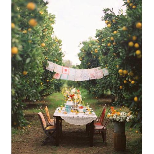 Romantic Farmhouse La Gavia