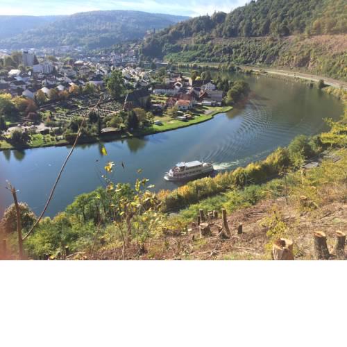 Romantisches Hirschhorn am Neckar