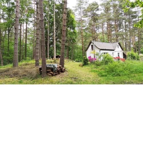 romantisches kleines Häuschen im Zauberwesenwald