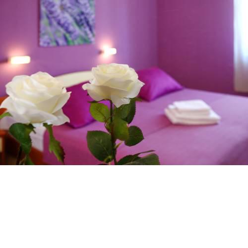 Rooms & Apartments Soline Nuove