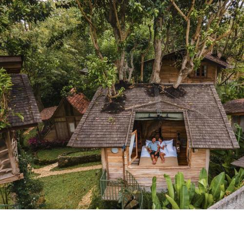Roots Tree House