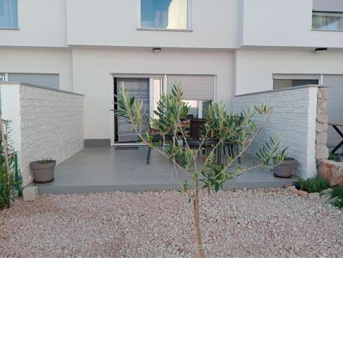 Roris House