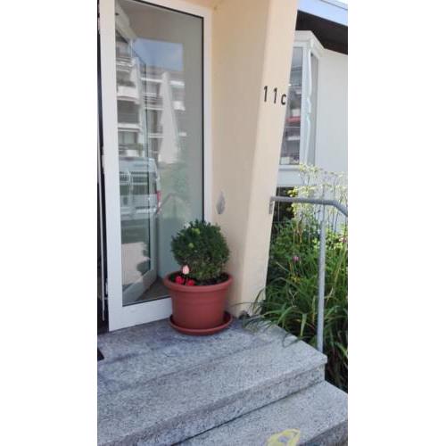 Rosenalm Appartment 231