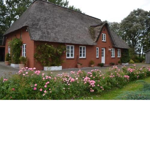 Rosenkate