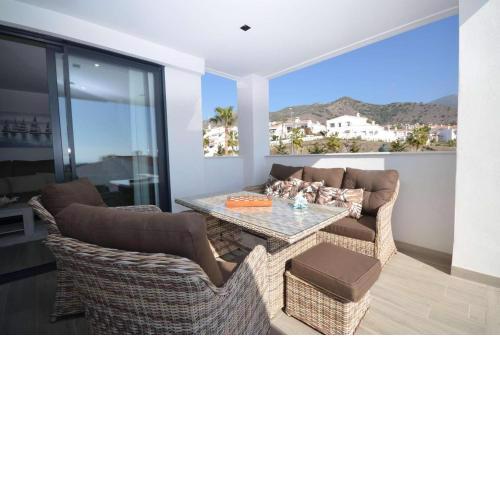 Royal Palm 20