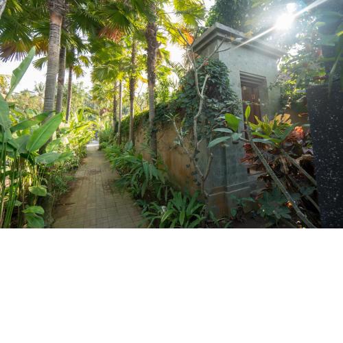 Royani Villa