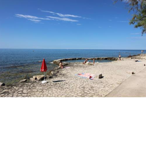 ROZY 80 m from the beach