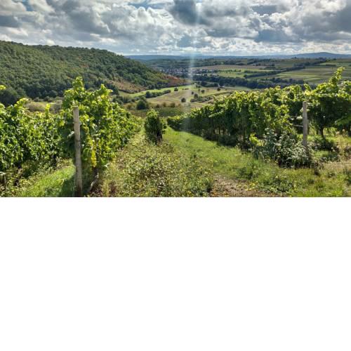 Ruhe pur am Golfplatz Stromberg
