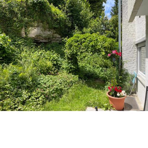 Ruhige Ferienwohnung mit schöner Terrasse