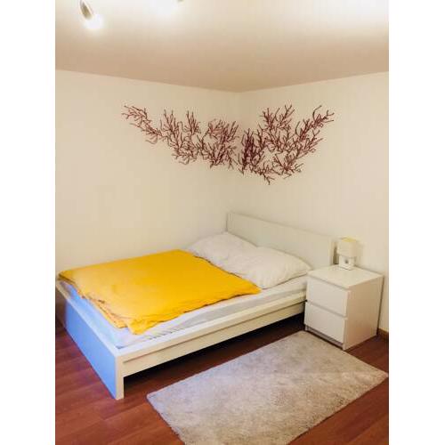 ruhiges privates Zimmer in Freiburg, zentrumsnah, Europapark