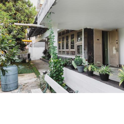 Rumah Daun Guest House