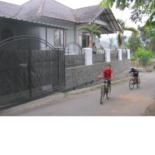 Rumah Palem