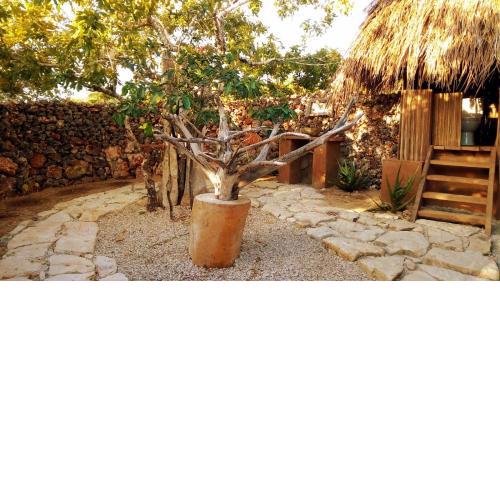 Rumah Pampa at Pachamama