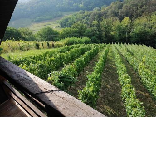 RURAL PARTY HOUSE - PARTY KUĆA ZA PROSLAVE