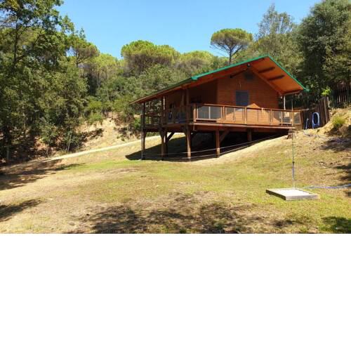 Rustic Cabin, Strawberry Fields