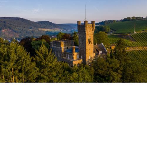 Saar Castle - cozy Mansion near vineyard
