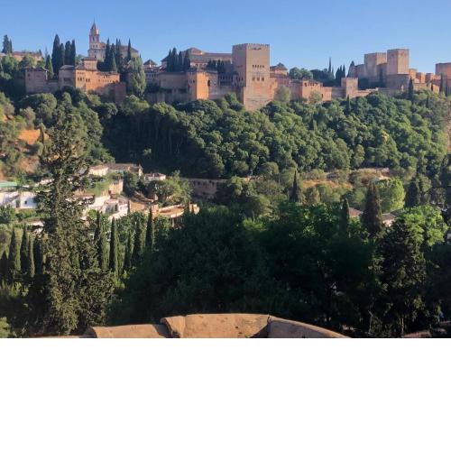 Sacromonte View