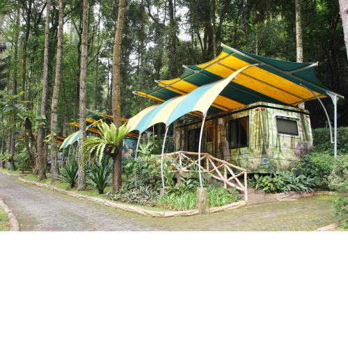 Safari Resort