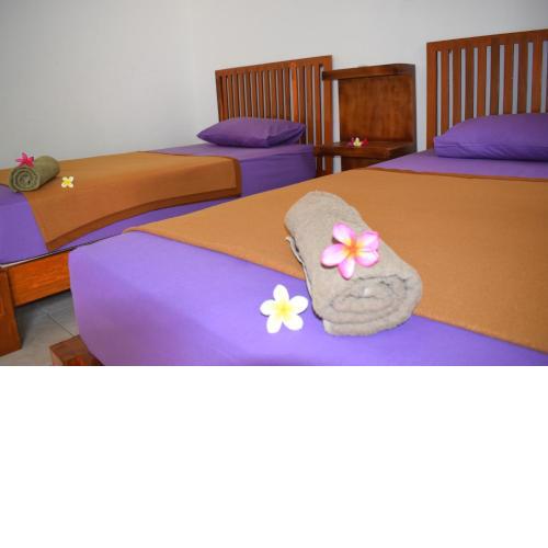 Safsia homestay