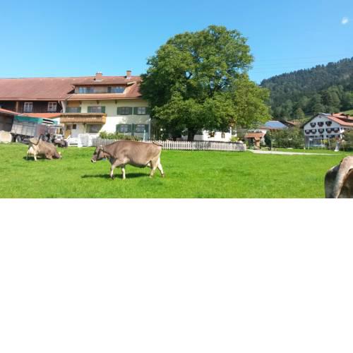 Sägerhof Bader