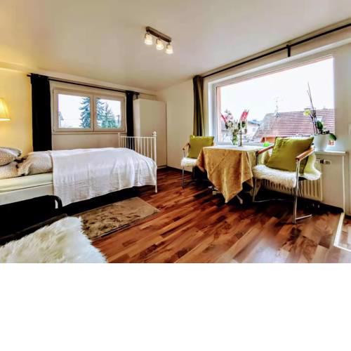 Salzburg Langwied Apartment 有客假日民宿2