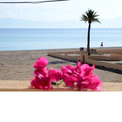 Salzes 4