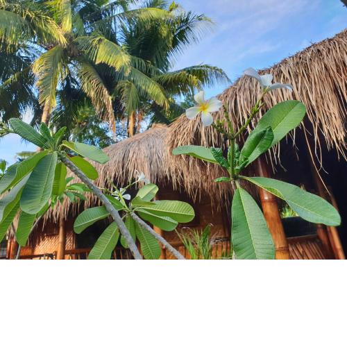 SAME SAME Bungalows - ECO Friendly