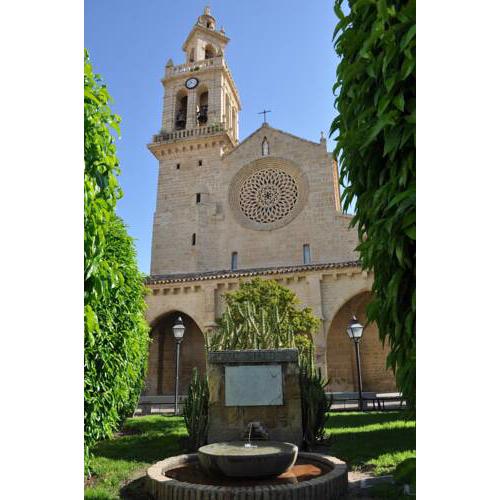 San Lorenzo 12