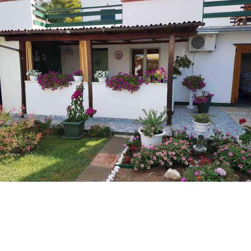 Sandra Apartmani 3