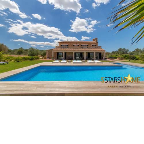Sant Jordi - 239421
