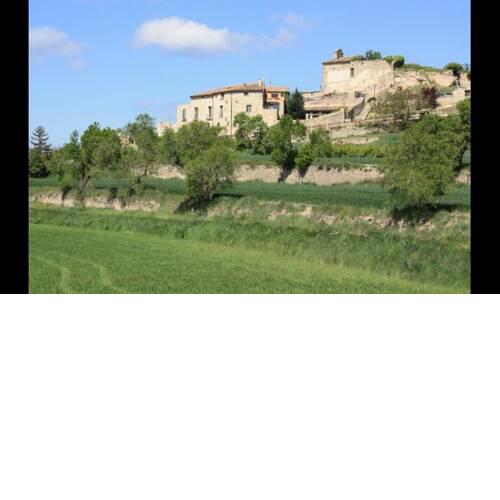 Santa Coloma de Queralt Villa Sleeps 16 with Pool
