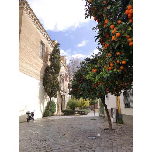 Santa Isabel low cost apartment rooms