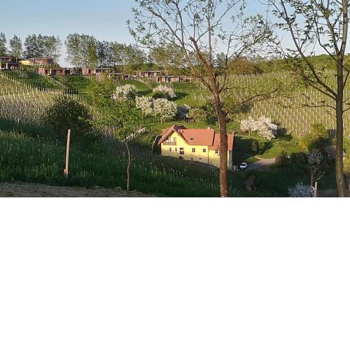 Santa Rosa