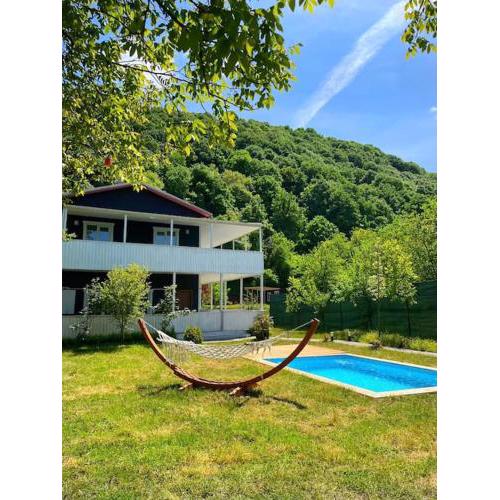 Sapanca BAGENİ VİLLA&BUNGALOV