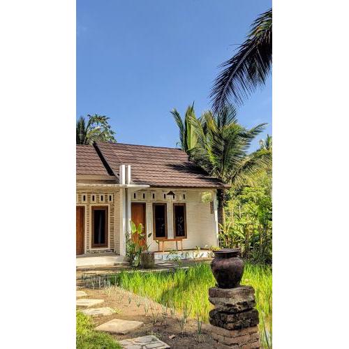 Sarang Walet Homestay