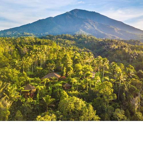 Sarinbuana Eco Lodge