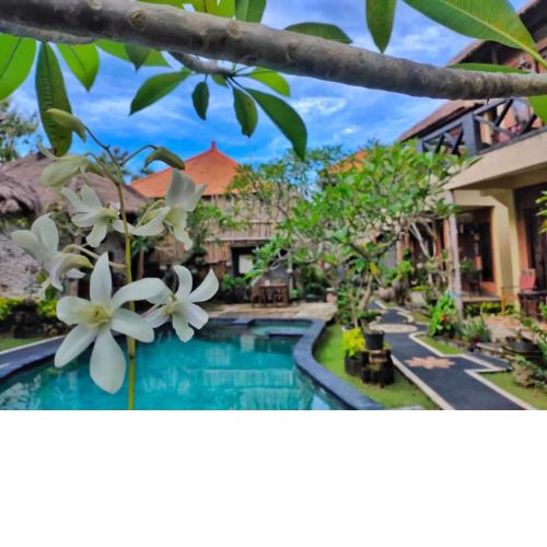 Satria Bungalow