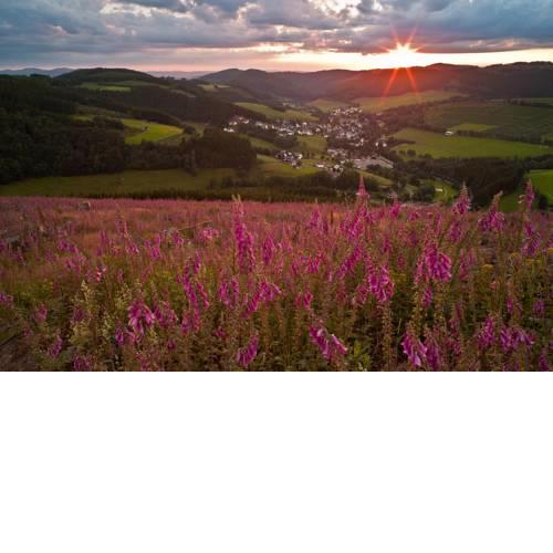 Sauerland Bergidyll