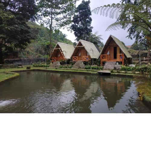 Saung AWI Syariah