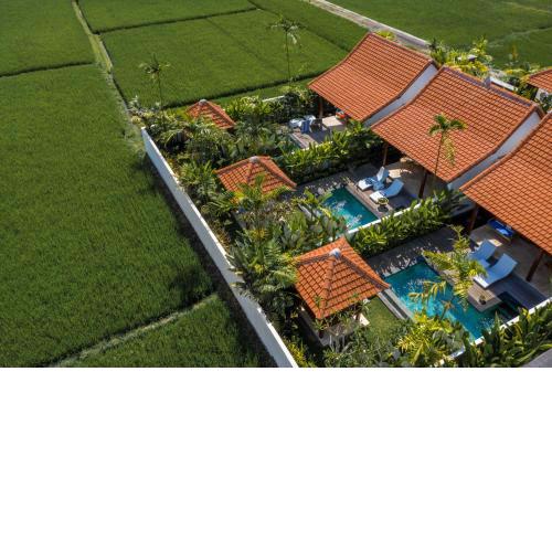 Sawah Villas