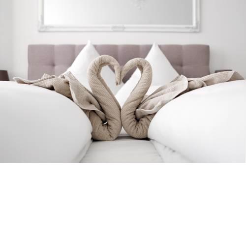 SC4 Big Family Apartment / Messe Business