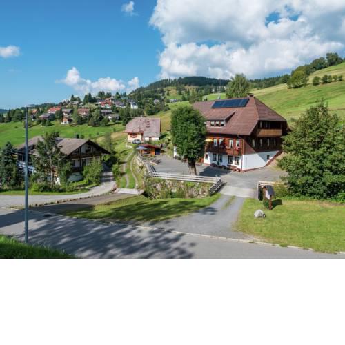 Scenic Apartment in Todtnauberg with terrace