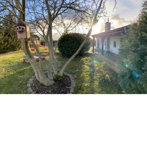 schicke Wohnung im Grünen