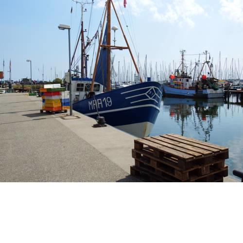 Schlei Idyll