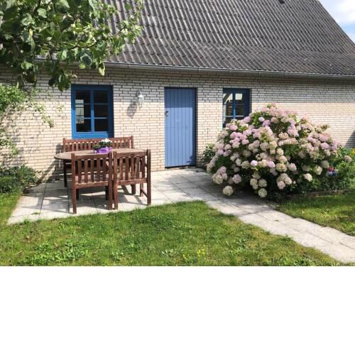 Schlei-Rose