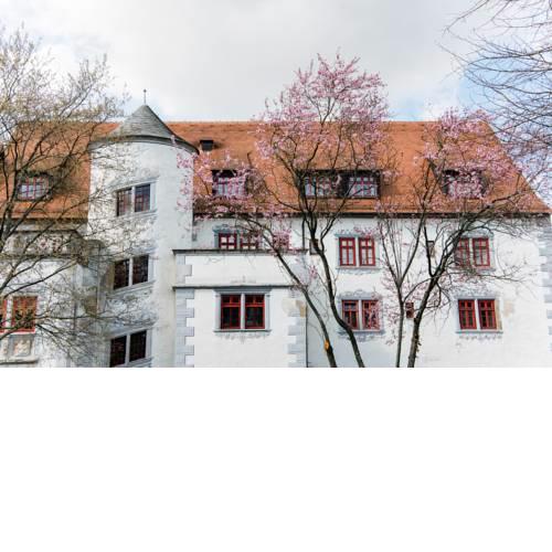 Schloss Liebenstein