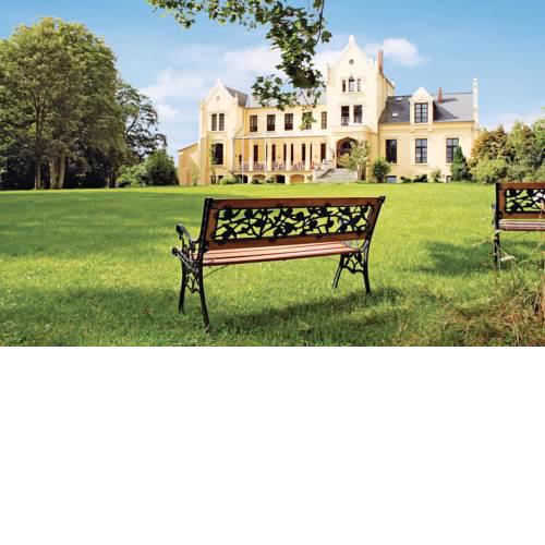 Schloss Poggelow X
