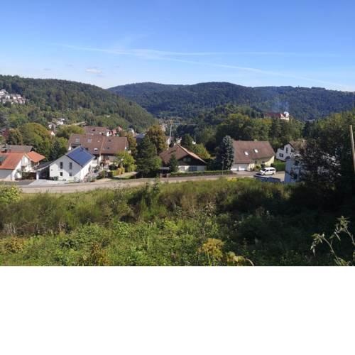 Schlossblick