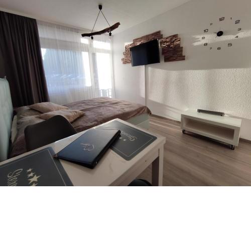 Schluchsee Ferienwohnung 22010
