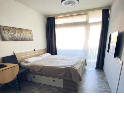 Schluchsee Ferienwohnung 22031